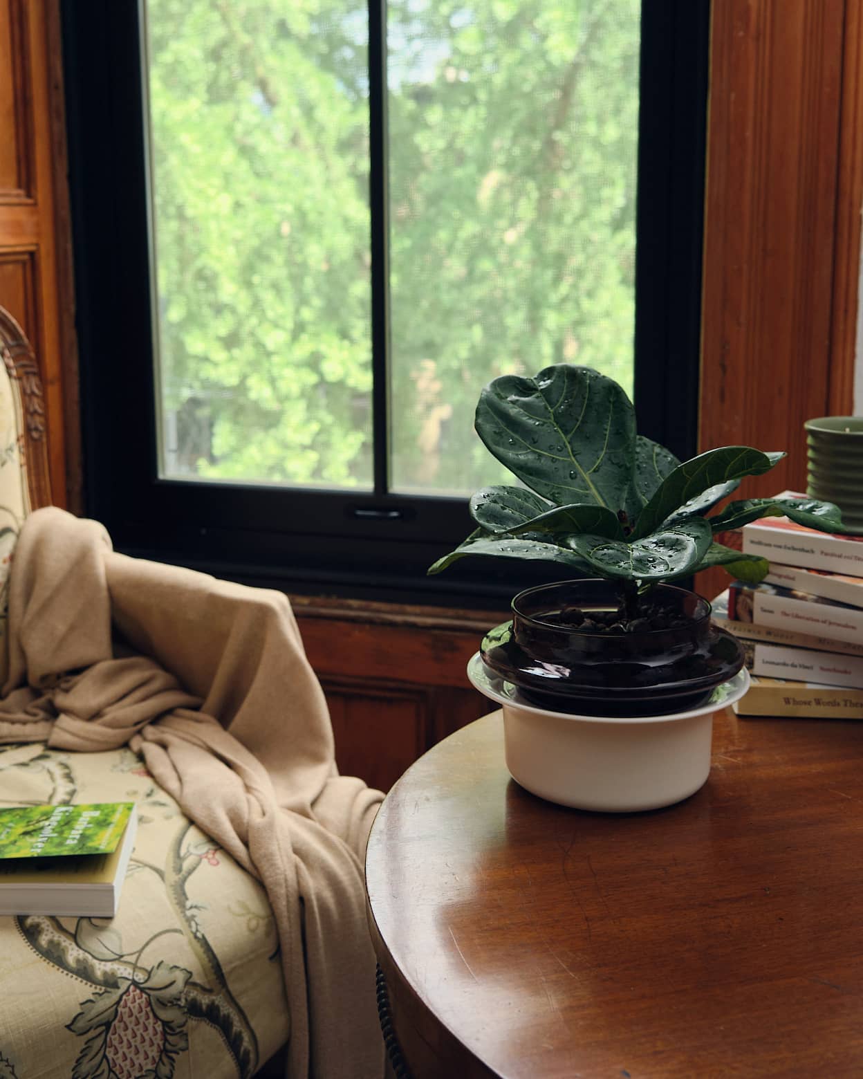 DSCF7237 - Cropped (1)