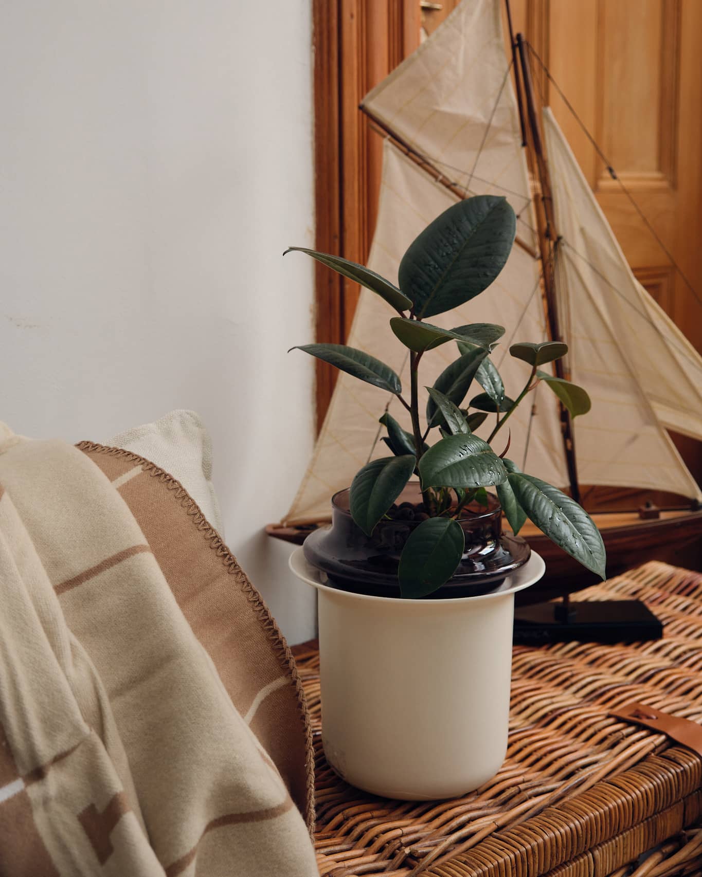 DSCF7389 - Cropped (1)