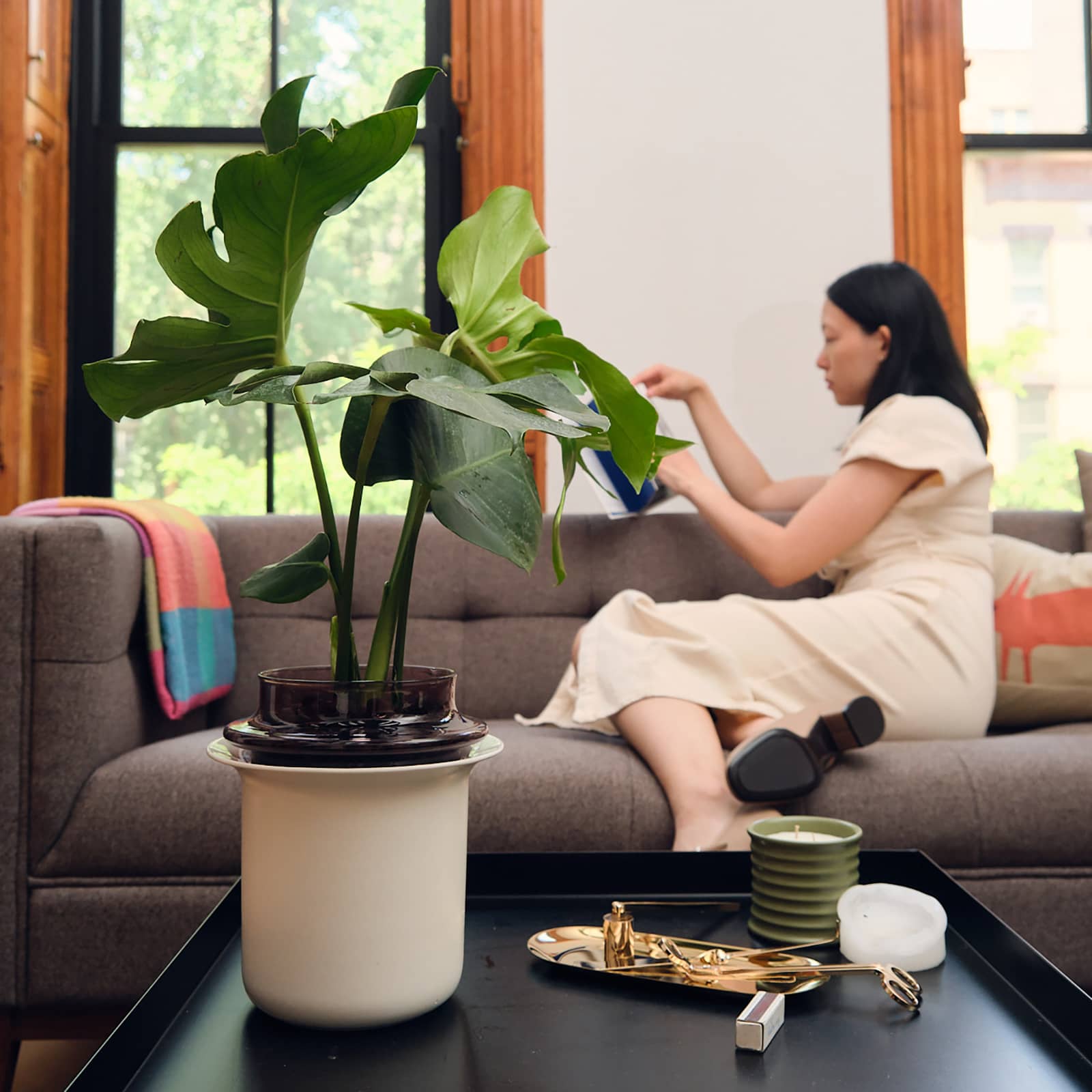 DSCF8064 - Cropped - V2 (1)