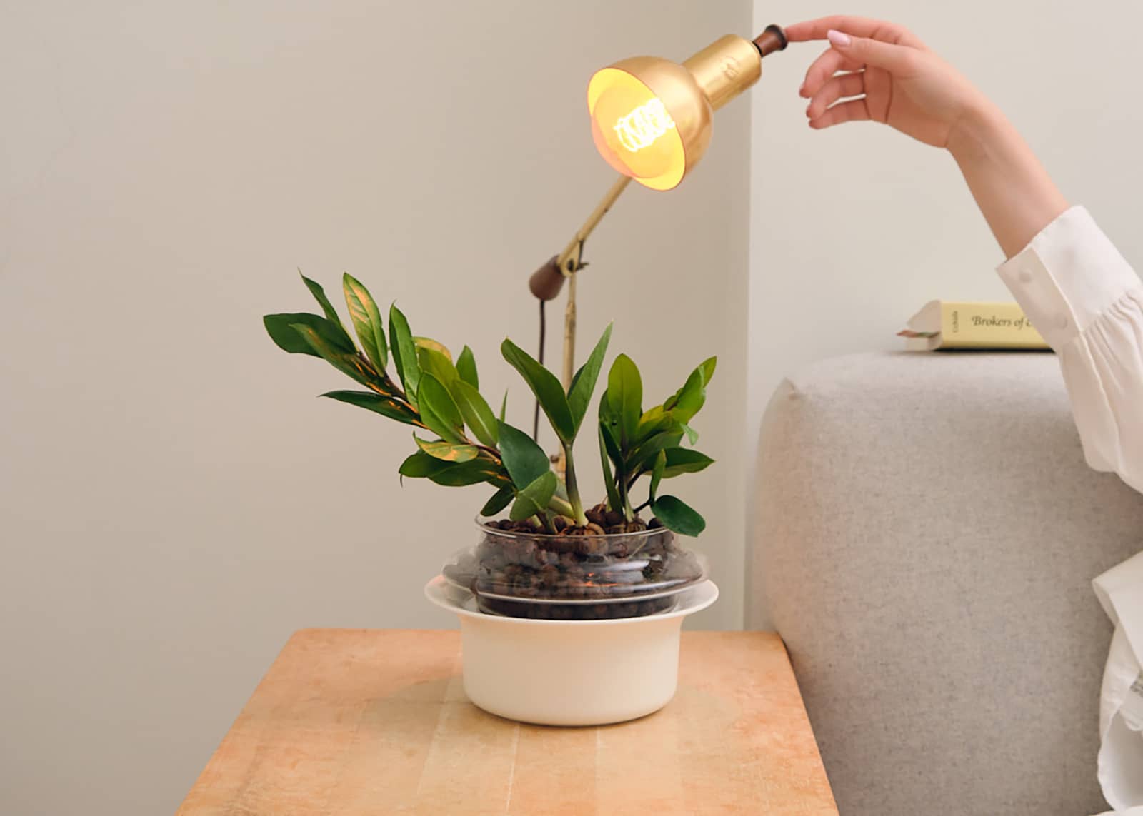 DSCF7915-Cropped (1)