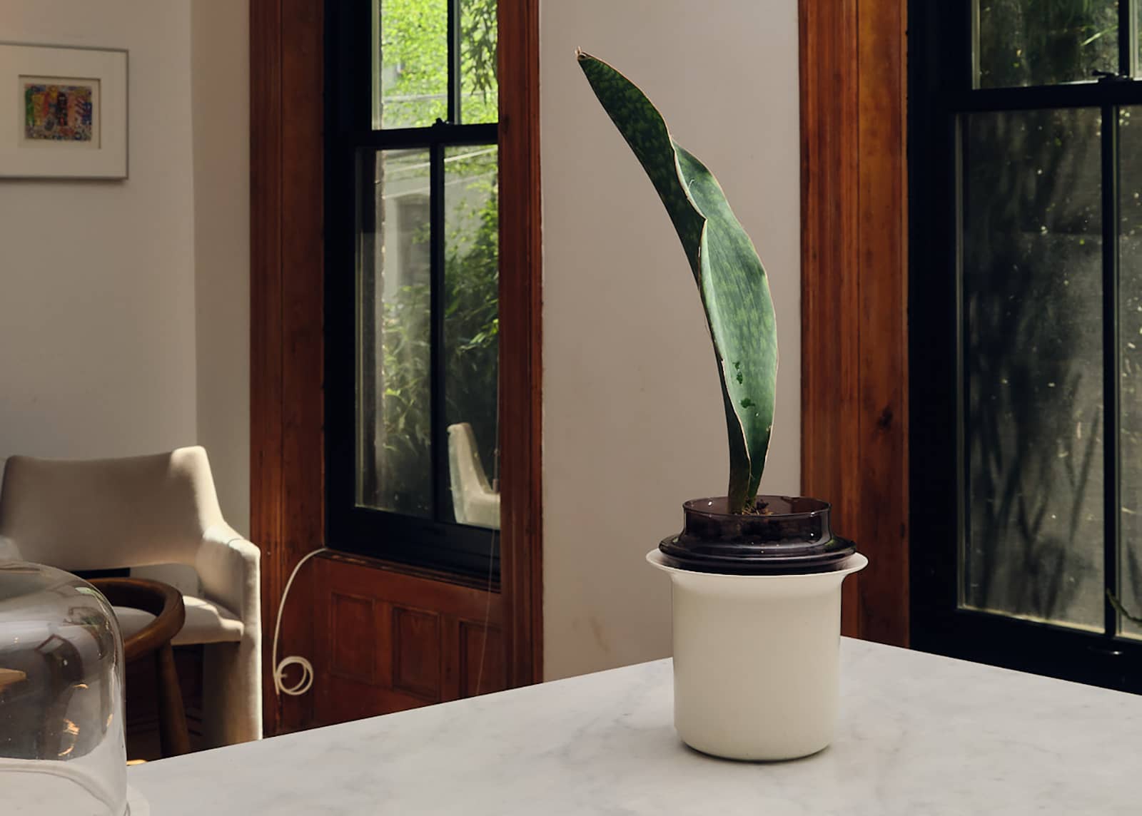 DSCF8341-Cropped-V2 (1)